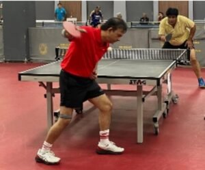 table-tennis-e1756268597653-300x249 मनिष रावत विजेतेपदाचे मानकरी